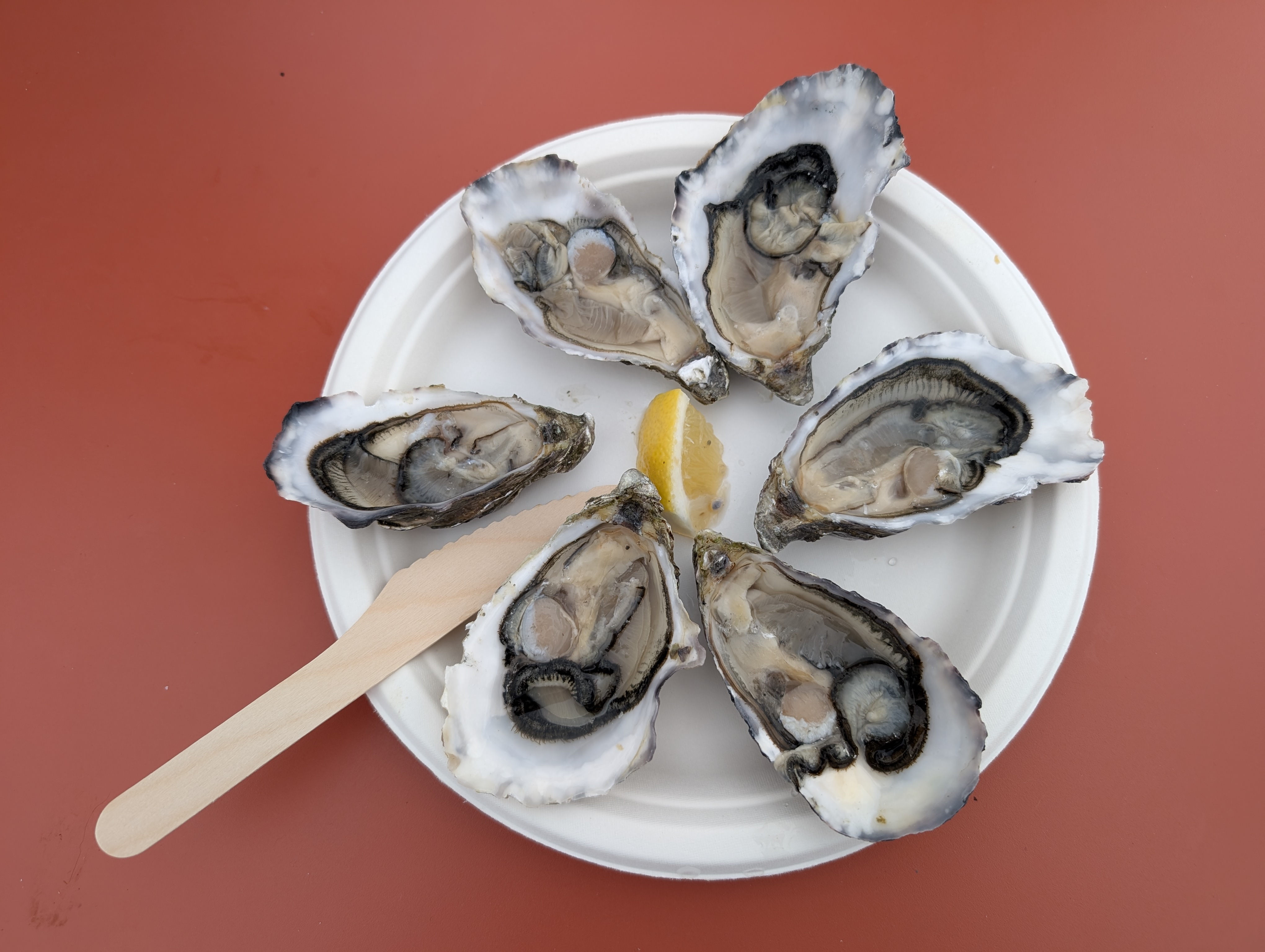 Fresh oysters